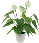 Quancru 42cm White Artificial Anthurium Flower Simulation Andraeanum Home Decor Plant Pot DIY Office Hotel Indoor Festival Housewarming