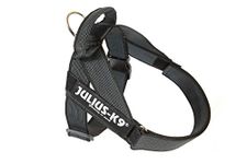 Julius-K9, IDC Color & Gray Belt Harness, Size: M / 0, Black-Gray
