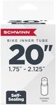 Schwinn Re