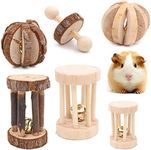 Winterworm 6 Pcs Wooden Chew Gnaw Throw Roll Toss Toys Hamster Mice Chinchillas Rabbit Gerbil Guinea Pig Toys