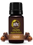 The Indie Earth 100% Pure & Undiluted Clove Essential Oil - Maintain Healthy Skin & Boost Body's Defence - For Aromatherapy & Topical Use - Sourced Directly From INDONESIA 10 ml