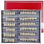 168 Pieces False Teeth Dental Compl