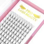 Premade Fans Eyelash Extensions 8D-D-0.07-9-15 Short Stem Premade Volume Eyelash Extensions 3D 5D 7D Volume Lash Extensions .07 .10 Pre made Lash Fans C D Curl(8D-D-0.07,9-15mm)