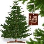 CASARIA® XL Premium Luxury Realistic Artificial Christmas Tree | 150x90cm Christmas Tree With Wooden Stand | Natural Dense Branches | Injection Moulded PVC Mix Christmas Tree | Green | 6FT / 180cm