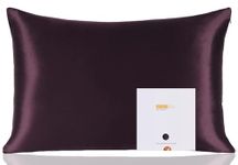 ZIMASILK 100% Mulberry Silk Pillowcase for Hair and Skin Health, Soft & Smooth, Both Sides Premium Grade 6A Silk, 600 Thread Count, with Hidden Zipper, 1pc (Standard 50x75 cm, Eggplant)