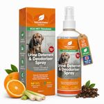 Dog Pee Urine Repellent Spray Indoor | Stop Dog Urinating In House At Night | Cat Urine Deterrent Spray | Pet Odour Eliminator For House | Urine Destroyer Dog and Cat Spray 250ml