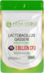 HB Lactobacillus Gasseri | 120 Lactobacillus Probiotic Capsules - High Strength 3 Billion CFU Lactobacillus Gasseri Probiotic per Serving | Non-GMO, Gluten & Allergen Free | Made in The UK