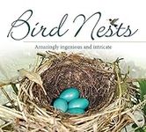 Bird Nests: Amazingly Ingenious and