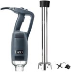 VONCI 750W Commercial Immersion Ble