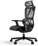 ProtoArc EC100 Ergonomic Office Cha