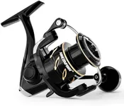 Ashconfish DF Series Spinning Reel Saltwater & Freshwater Fishing Reel, Lightweight Nylon/Fiberglass Frame, 7+1BB, 5.2:1 Gear Ratio,Long-Distance Casting DF (Deep Spool Line Cup(DF), 2000)