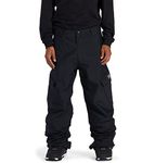 DC Shoes Banshee - Technical Snow Pants for Men