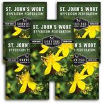 St. John's Wort Seeds for Planting - 5 Packets with Instructions to Plant & Grow Beneficial Perennial Herbs in Your Home Herb Garden - Non-GMO Heirloom Variety - Survival Garden Seeds