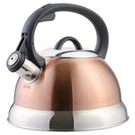 Mr. Coffee Flintshire Stainless Steel Whistling Tea Kettle W/Nylon Handle, 1.75-Quart, Copper