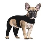 Yoolhamy Dog Surgery Recovery Suit, Dog Leg Wound Protector Brace, Comfortable Dog Elbow Protector Cone alternative Prevent Licking Bite Long Sleeve Suits Leg Brace Support (Black, XS)