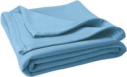 THE HOME TALK Fleece Blanket for Kids/Pets- 42 X 29 Inch- Pack of 1|Polar Thermal Lightweight Spread|Soft Plush Material|All Season Blankets for Small Kids|Pet Blankets for Dogs, Cats (Sky Blue)