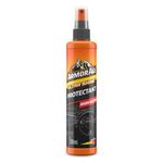 Armor All, Gloss Finish Protectant 300 ml, Cleans and Polishes Dahsboard and Trims, Protects and Restores Surfaces, Suitable for Plastic, Rubber and Vinyl, Ideal for Car Detailing, Made in the UK