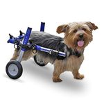 Dog Wheelchair - for Small Dogs 11-25 Pounds - Veterinarian Approved - Dog Wheelchair for Back Legs