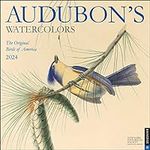 Audubon's Watercolors 2024 Wall Cal