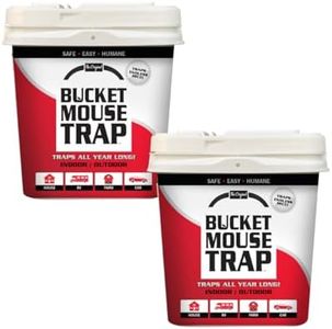 2-Pack Lit