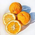 Kejora Fresh Seville Oranges/Bitter