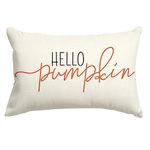 RABUSOFA Fall Decor Throw Pillow Covers,Autumn Decorative Cushion Covers, Orange Hello Pumpkin Decorative Pillowcases,Farmhouse Haoliday Decorations for Sofa Couch Outdoor White 12x20 Inch/30x50 cm