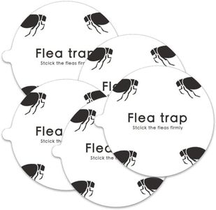 Trampa Ant