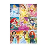 Pyramid International Disney Princess, Collage Maxi Poster, Wood, Multi-Colour, 61 x 91.5 cm