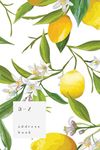 A-Z Address Book: 4x6 Small Notebook for Contact and Birthday | Journal with Alphabet Index | Lemon Flower Leaf Cover Design | White