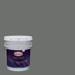 Glidden Exterior Paint + Primer: Gr