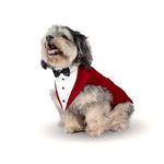 Puptail Dog Suit or Dog Tuxedo and Bandana Set, Dogs Wedding Party Suit, Dog Clothes Bow Tie, Dog Dresses for Small, Medium and Large Female Dogs Golden Retriever, Labrador, shitzu, Pug (S, Red)