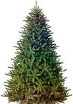 Balsam Hill 6.5ft Pre-Lit Classic B