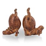 SPI Home 41001 Golden Brown Acrobatic Hippo 6.5 x 5.5 Aluminum Decorative Bookend Set