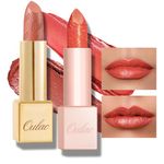 Oulac Orange Lipstick Set 2PCS - Included Metallic Orange Lipstick and Sheer Orange Liptsick, Vegan Lightweight Hydrating Formula, 05+PG04