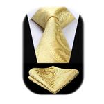 HISDERN Mens Solid Gold Paisley Wedding Tie Handkerchief Men's Necktie & Pocket Square Set For Wedding