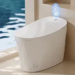 Tankless Smart Toilet With Bidet Built In, One-piece Bidet Toilet N115-1