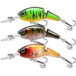 Crankbait For Bass