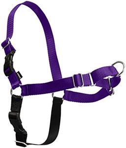 PetSafe Easy Walk No-Pull Dog Harness - Ultimate Harness to Help Stop Pulling - Pull-Free Walks - Take Control & Teach Better Leash Manners - Patented Martingale Loop Design - Deep Purple, Medium