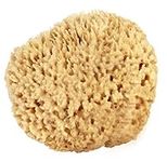 Sea Wool Sponge 15cm - 18cm (X-Larg