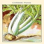 The cardoon (Cynara cardunculus) al