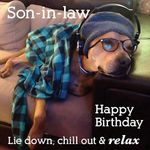 Son-in-Law Birthday Card - Funny/Humorous Dog Design - Lie Down, Chill Out & Relax - Made in the UK - Eco-Friendly