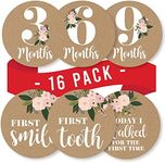 16 Monthly Baby Milestone Stickers Girl - Rustic Baby Monthly Milestone Stickers for Baby Girl, Milestone Baby Monthly Stickers, Baby Month Stickers for Baby Photo Props, Monthly Baby Stickers Girl