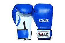 Lordz Pu Synthetic Leather Boxing Gloves with Sandwich Padding for Men and Women (M, Blue)