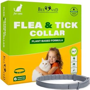 Natural Flea & Tick Collar for Cats - 6 Months Control of Best Prevention & Safe Treatment - Anti Fleas and Ticks Essential Oil Repellent (1 Pack)