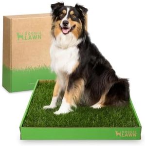 DoggieLawn