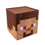 Minecraft Steve Mask Head Costume Headpiece, Official Minecraft Costumes, Single Size Kids Costume Accessory