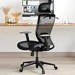 FLEXISPOT OC3 Ergonomic Office Chair Desk Chair Computer Chair Height Adjustable Seat Headrest Armrest Lumbar Support Caster Wheels Task Chair (Black)