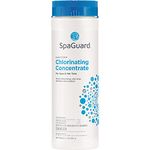 SpaGuard Chlorinating Concentrate - 2 lbs