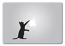 Curious Cat Version 2 Apple MacBook
