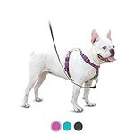 PetSafe 3 in 1 Dog Harness - No Pul